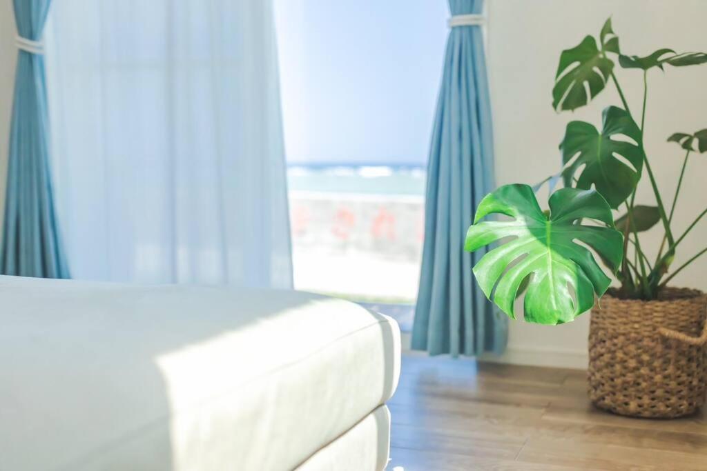 石垣島一棟貸し 潮 Villa Ishigaki  Bagian luar foto